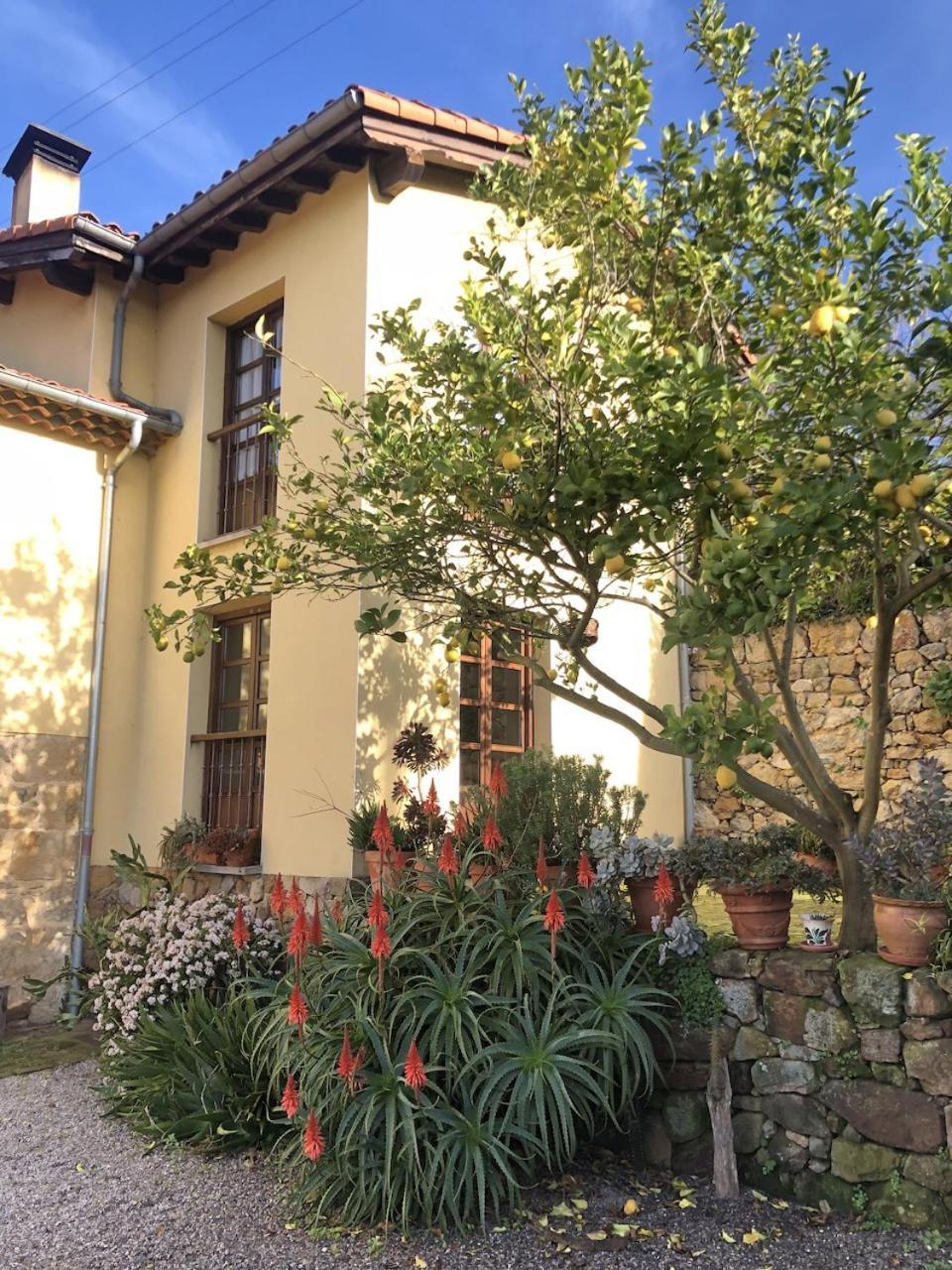 Casa Rural Trebol4Hojas San Pedro  Exterior foto